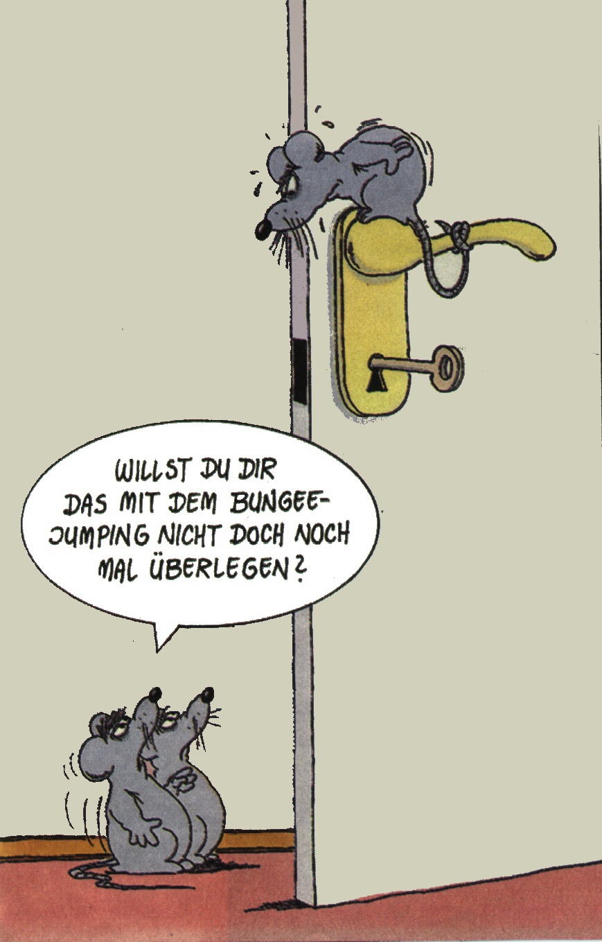 ulli stein ulli stein